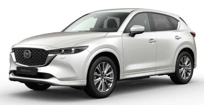 Nagy SUV – Autó