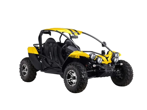 PGO Bug Racer 600cc – Buggy